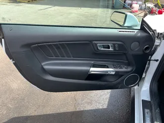 Mustang 19
