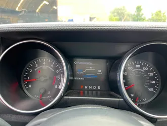Mustang 20