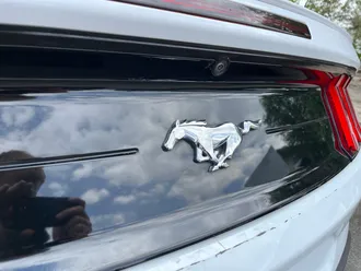 Mustang 24