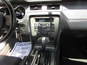 Mustang 19