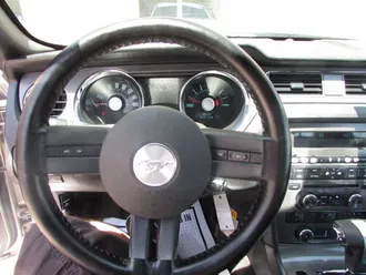 Mustang 21