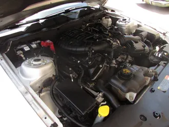 Mustang 23