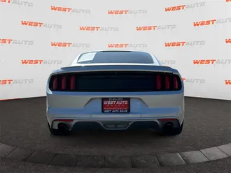 Mustang 4