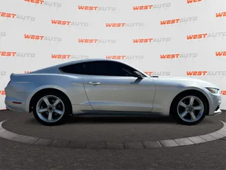 Mustang 6