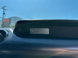 Mustang 18