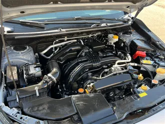 Crosstrek 29
