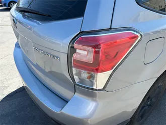 Forester 17
