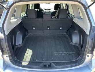 Forester 19