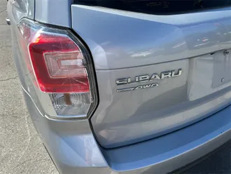 Forester 20