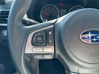 Forester 24