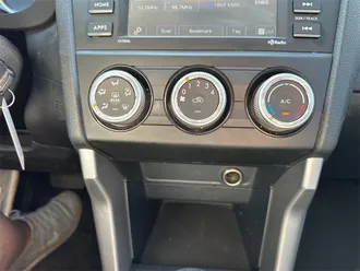 Forester 28