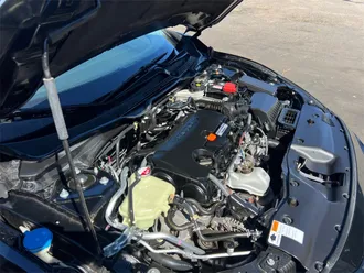 Civic 31