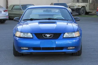 Mustang 6
