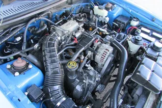 Mustang 19