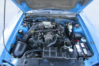 Mustang 21