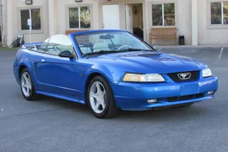 Mustang 39