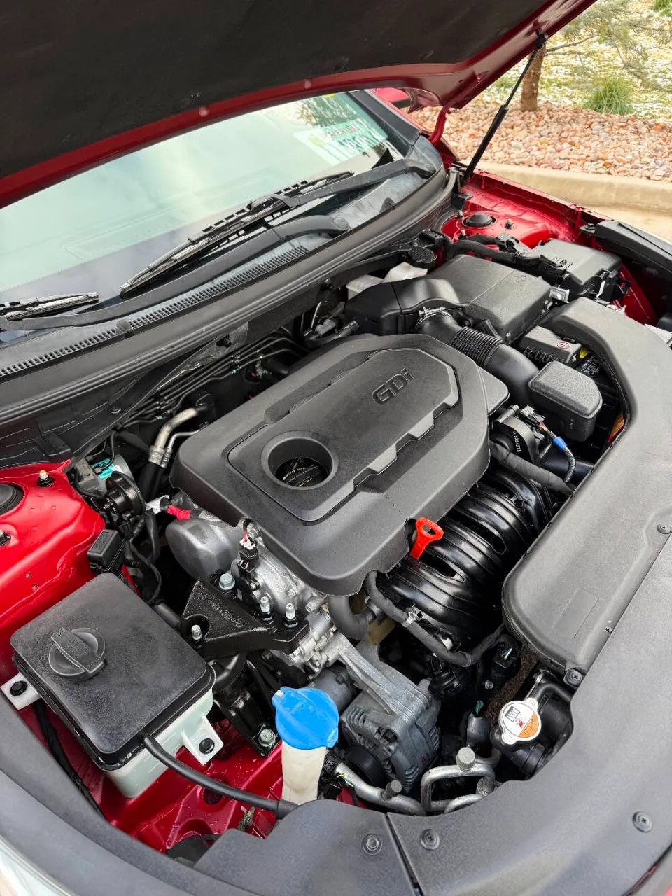 Carousel Image 19