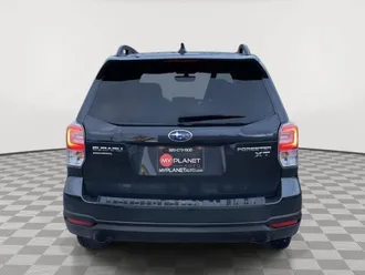 Forester 6