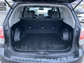 Forester 7