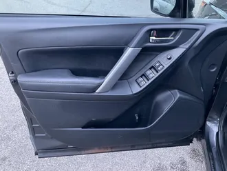 Forester 15