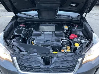 Forester 17