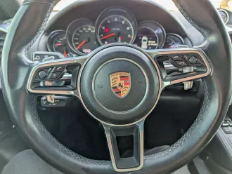 Cayenne 16