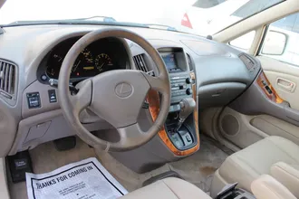 RX 300 22