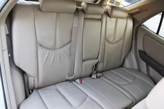 RX 300 30