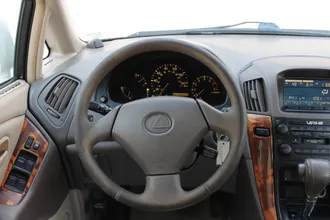 RX 300 38