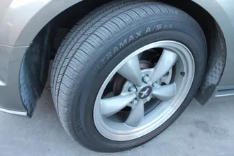 Mustang 9