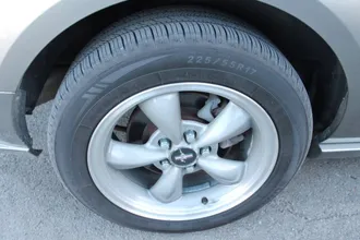 Mustang 11