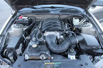 Mustang 14