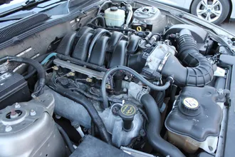 Mustang 15