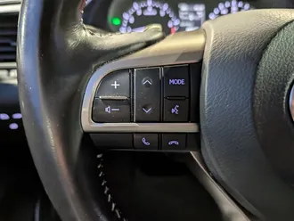 RX 350L 7-Seater 20
