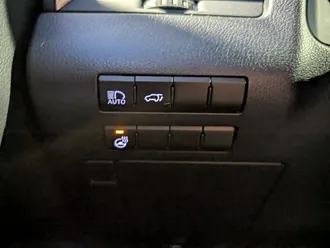 RX 350L 7-Seater 22
