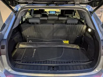 RX 350L 7-Seater 33