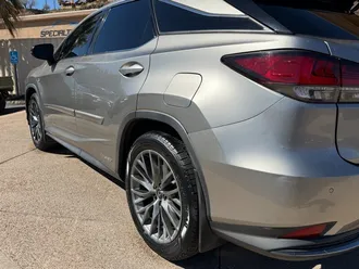 RX 450 H F SPORT Performance 13