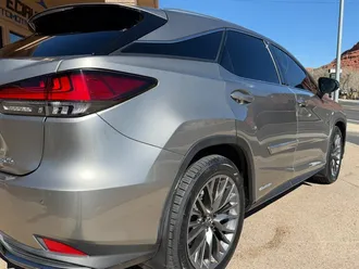 RX 450 H F SPORT Performance 14