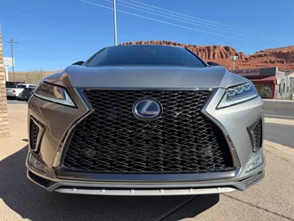 RX 450 H F SPORT Performance 15