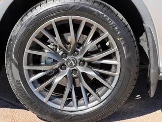 RX 450 H F SPORT Performance 24