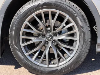 RX 450 H F SPORT Performance 27