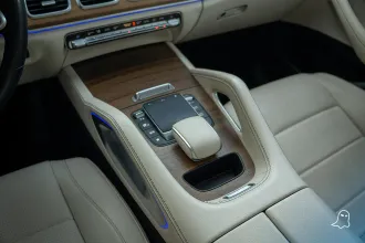 GLE 350 39