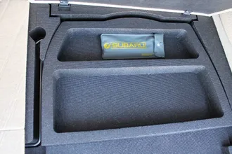 Forester 29
