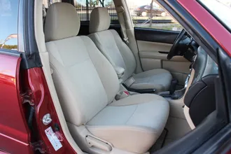 Forester 33