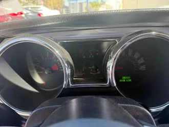 Mustang 20