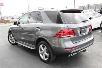 GLE 6