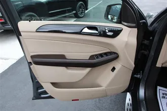 GLE 19