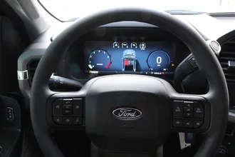F-150 19