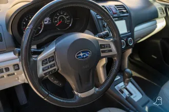 Forester 17