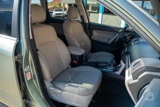 Forester 29